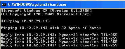 Running ping on the host